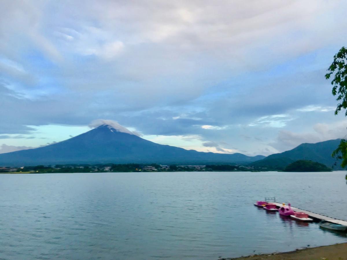Mt Fuji Cat&Dog&Spa Pension Blue Poppy Fujikawaguchiko Exterior foto
