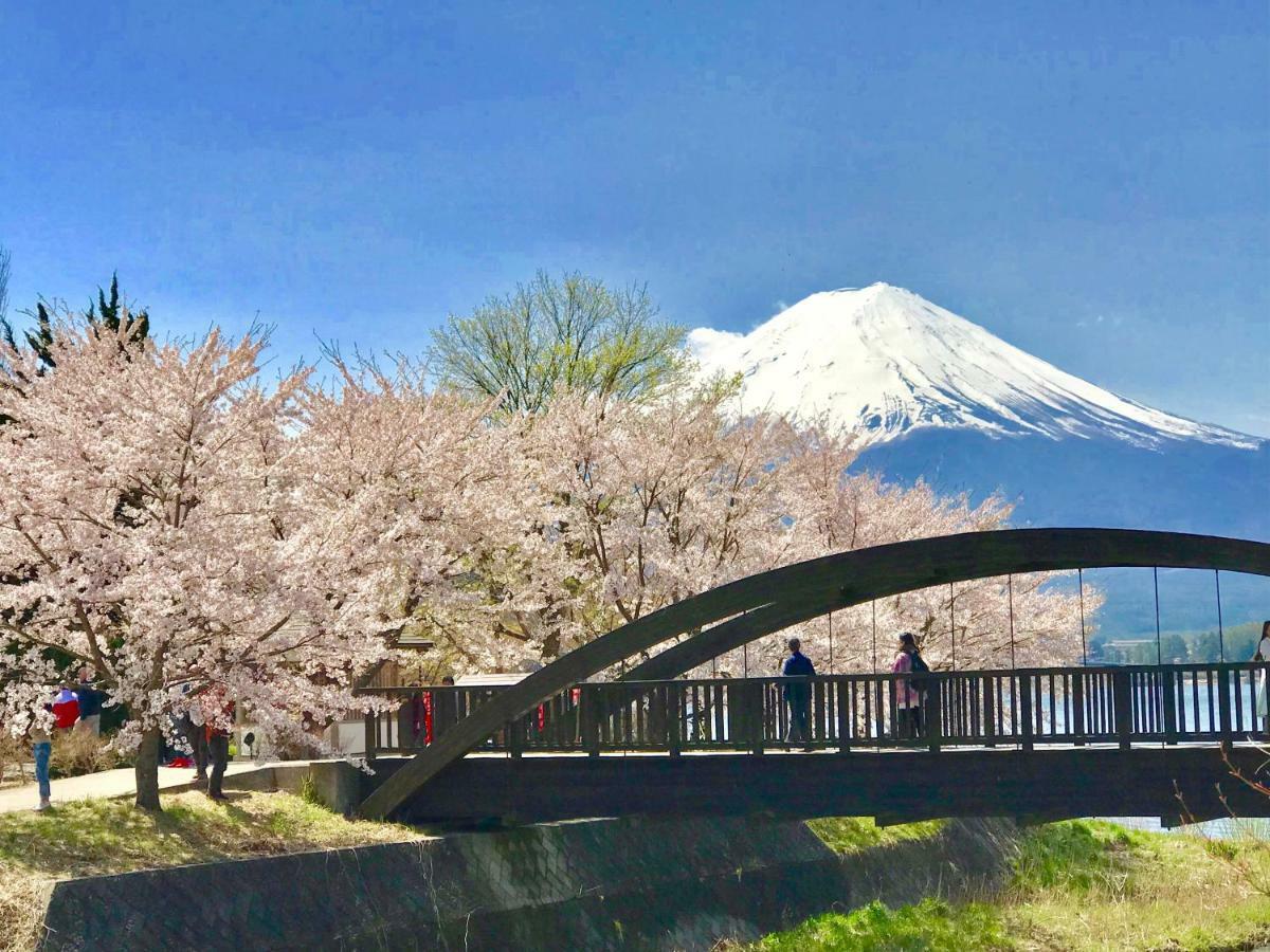 Mt Fuji Cat&Dog&Spa Pension Blue Poppy Fujikawaguchiko Exterior foto